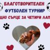 Ученици със сърце в Бургас: Организират футболен турнир в помощ на кучетата от приюта
